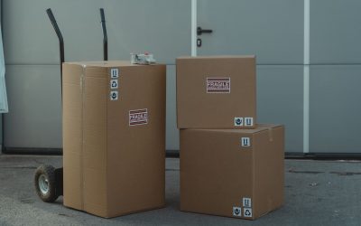 Appliance Roller vs Refrigerators for Garages: How to Choose the Right One