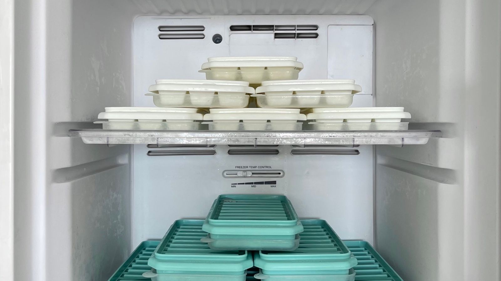 Neatly organized freezer basket filled with labeled frozen food containers