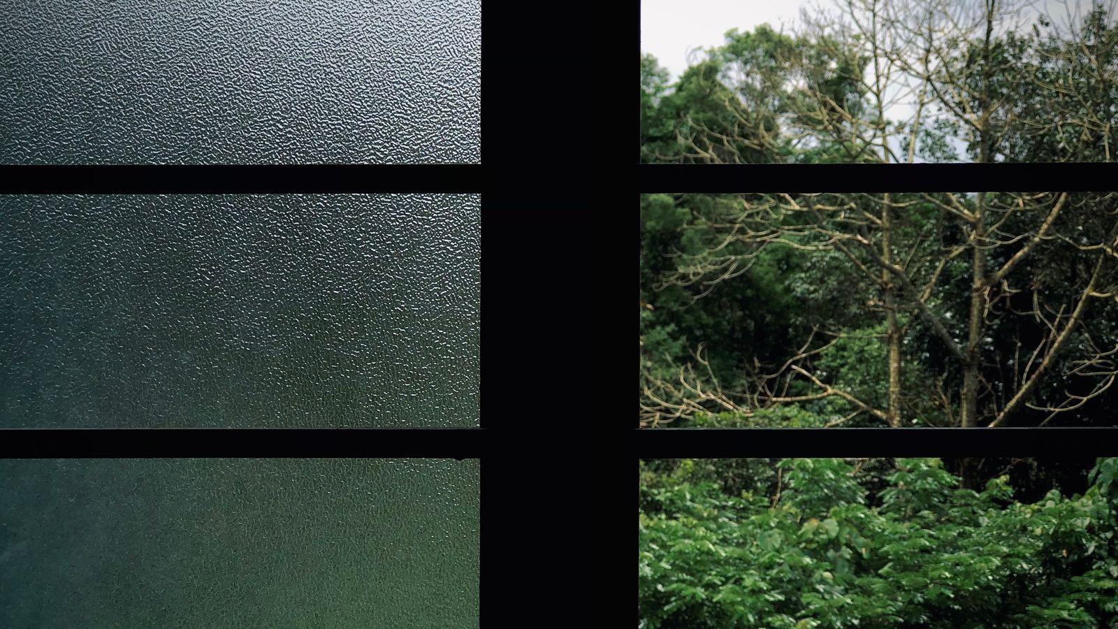 View through a window covered with textured thermal film for privacy and heat control