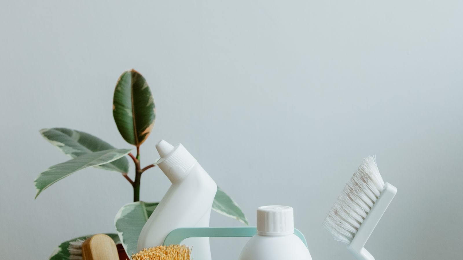 Organized cleaning supply cabinet with labeled bottles and eco-friendly cleaning products