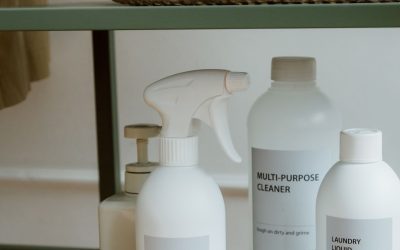 How to Organize Your Detergent Shelf with Laundry Detergents for Pet Odors and Laundry Detergents for Silk