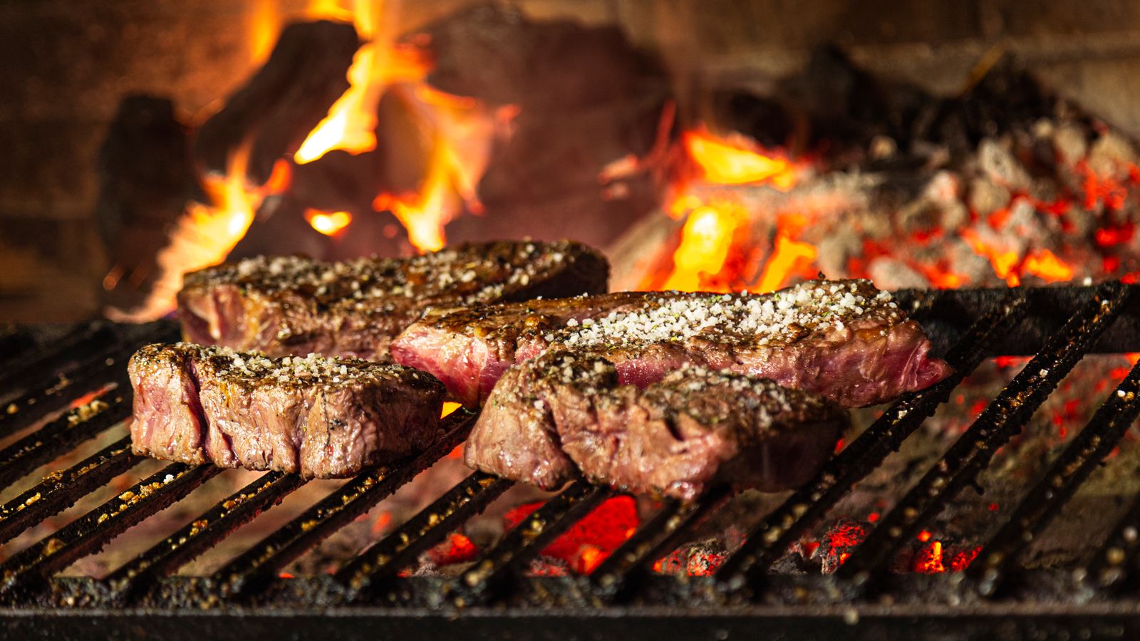 Grilled vegetables and meat cooked on a compact indoor grill plate