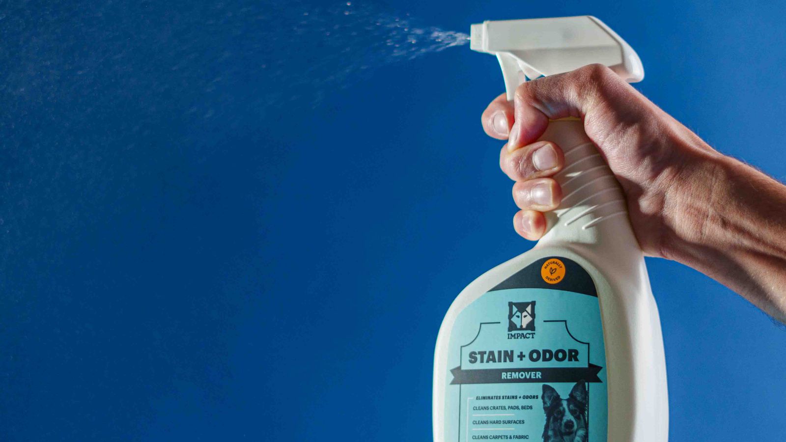 Spray bottle of pet odor eliminator being used to treat a stain on carpet