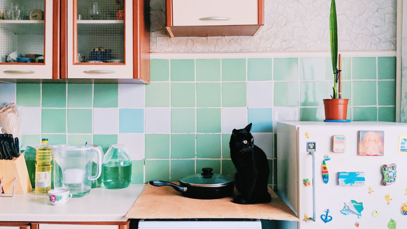 Modern kitchen sink area with a clean peel and stick tile backsplash installation