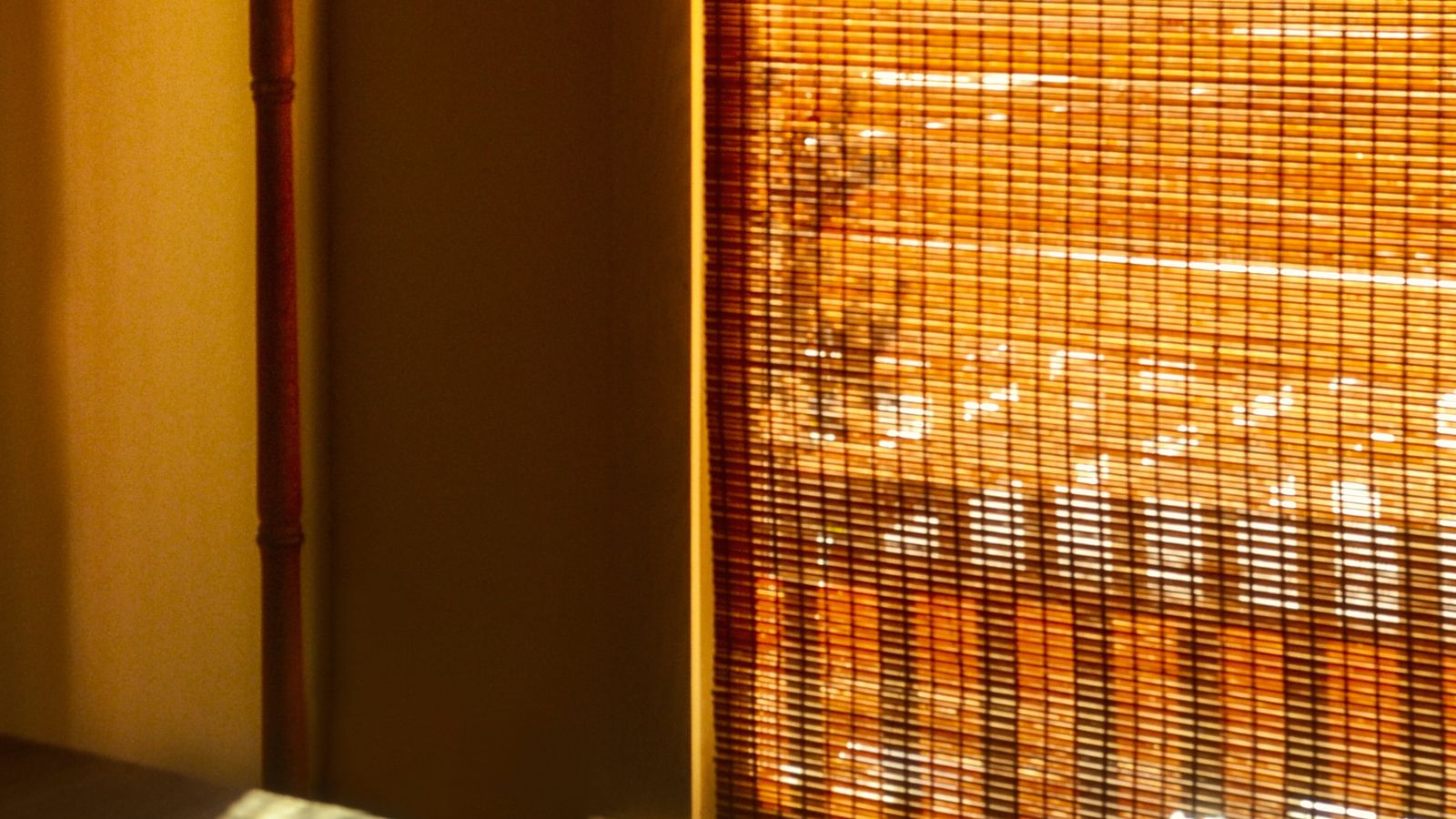 Sunlight filtering through a jalousie-style window covering in a bright room