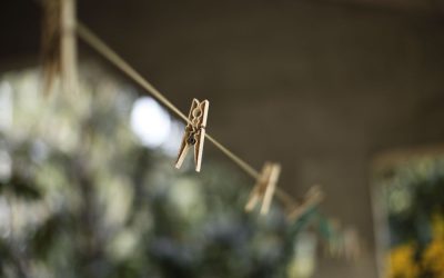 Retractable Clothesline, Oxygen Bleach, or Washer Pedestal: How to Decide What You Actually Need